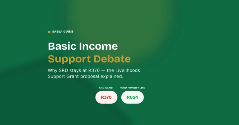 sassa basic income support debate